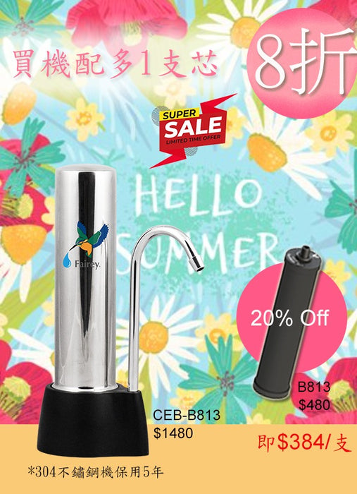 Fairey飞力-CEB滤水器+B813滤芯