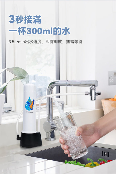 Fairey飞力-CEB滤水器+B813滤芯
