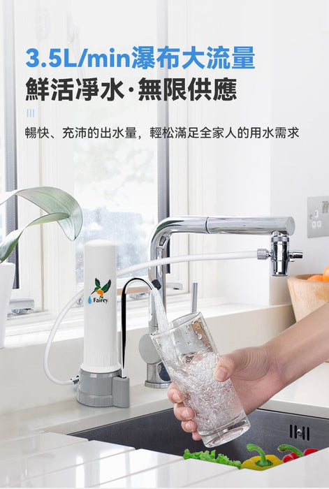 Fairey飞力-CEB滤水器+B813滤芯